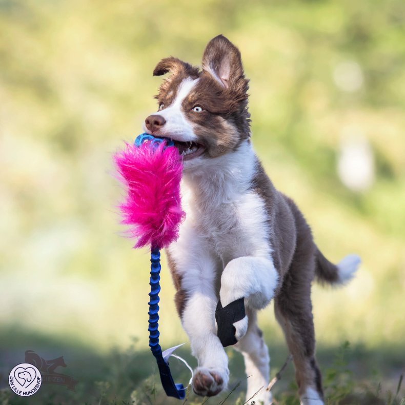 Bungee Fake Fur Tug S med Hol-ee Roller