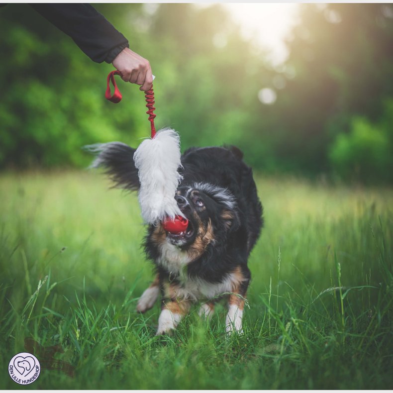 Bungee Sheepskin Tug L med Amazing Squeaker Ball